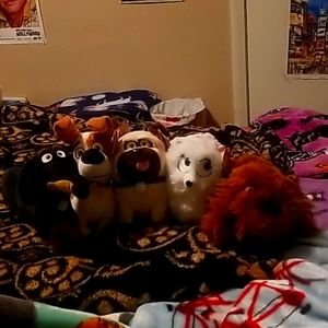 Secret life of pets beanie babies